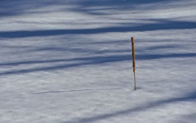 Standing Alone