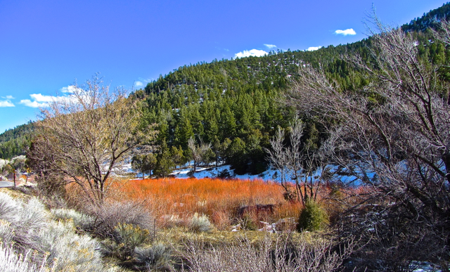 Winter Palette