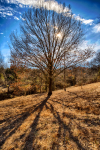 Photo by Nathan Johns Photography