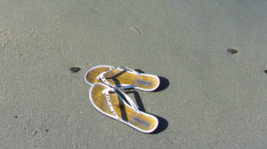 Screen Shot 2015-08-30 at 7.42.03 AM